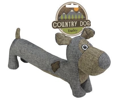 Country Dog - Daisy