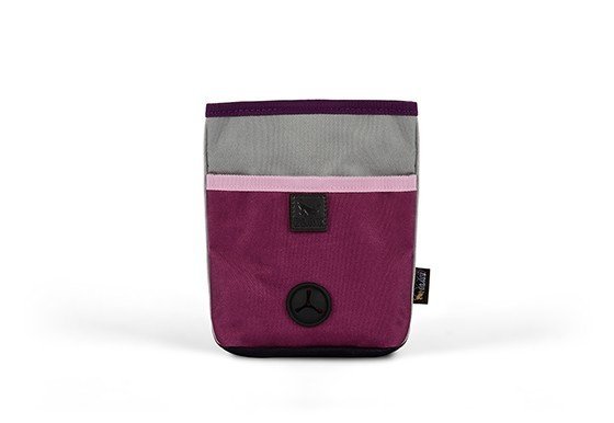 Scout & About - Deluxe Training Pouch - Wildflower