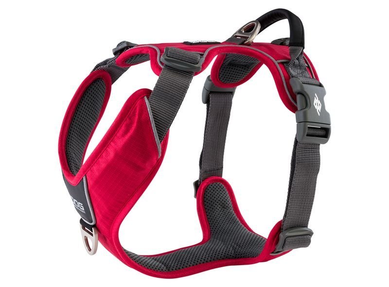 Dog Copenhagen - Comfort Walk Pro Harness - "Version" 2020 Classic Red