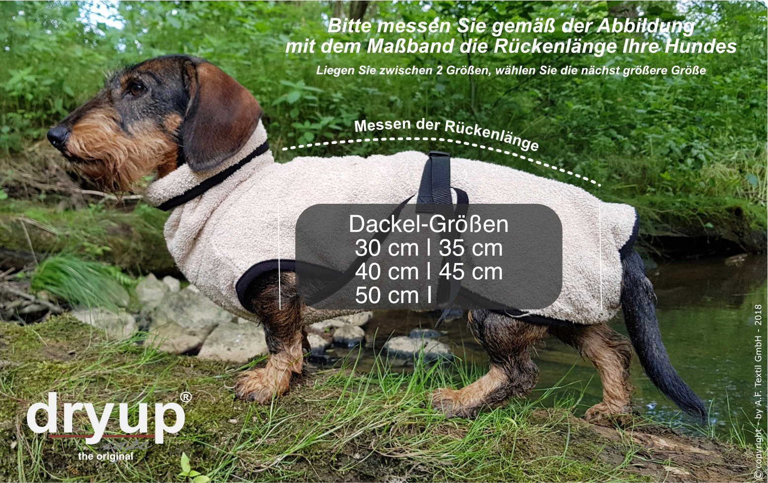 Dryup-cape-Dackel_Größentabelle