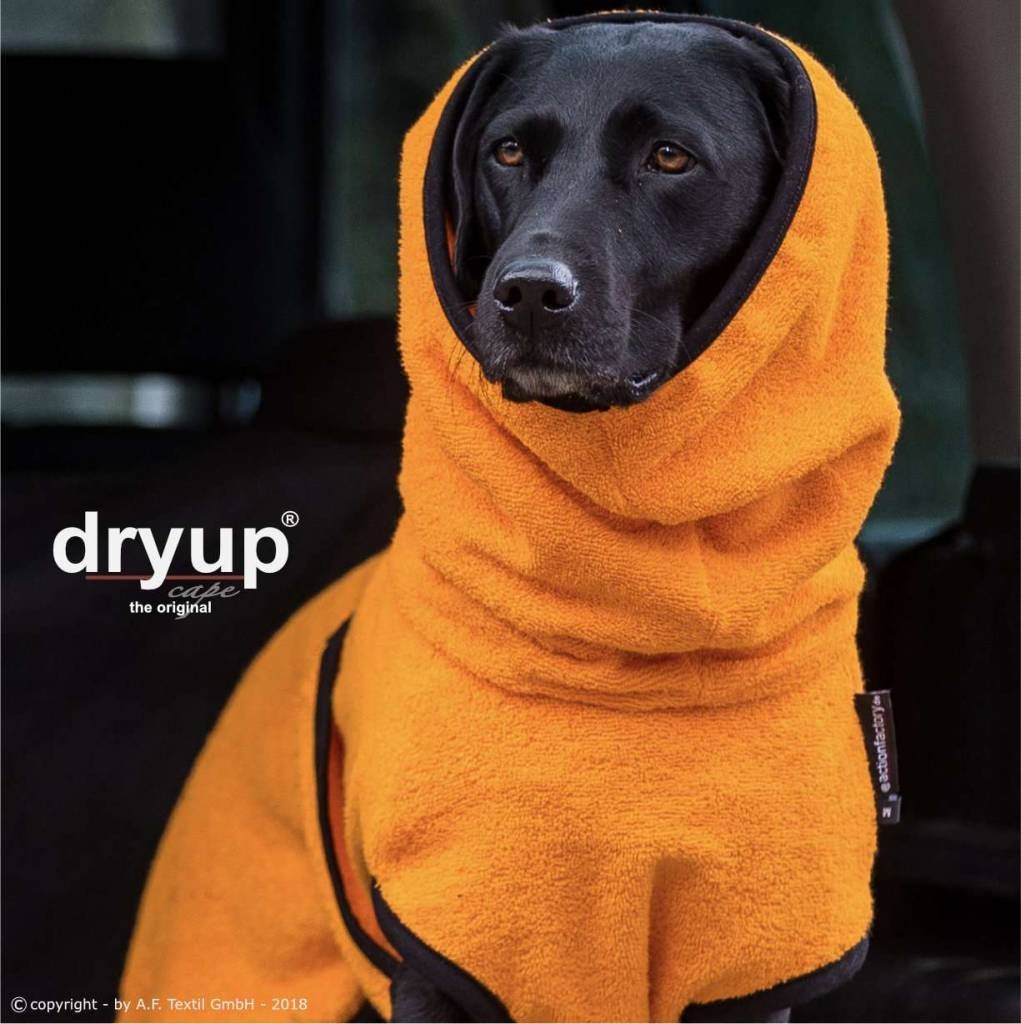 Dryup Cape - Clementine