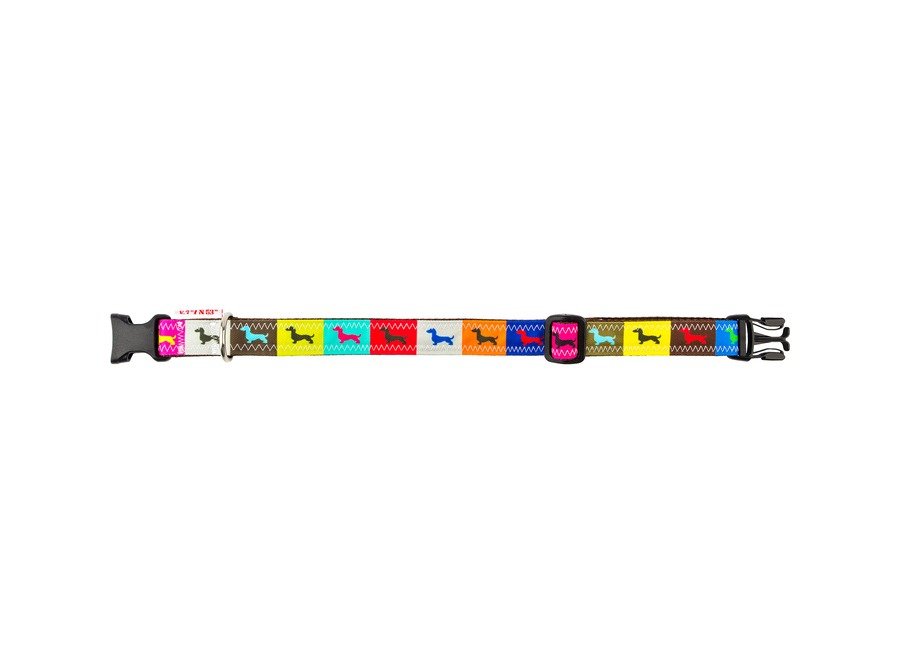 Halsband - Dackel Rainbow