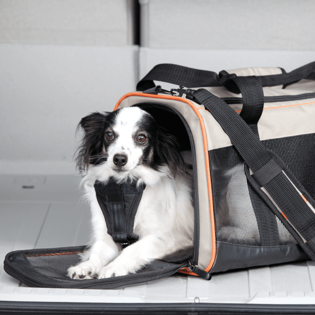 Hunde-Reisetasche - Wander Carrier