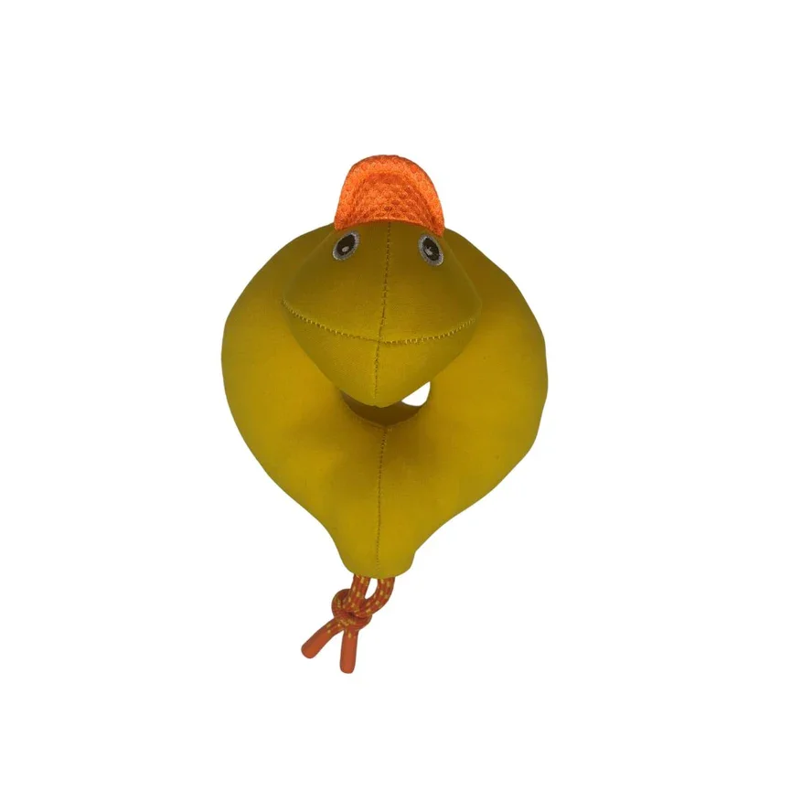Duck Floatie - Ente