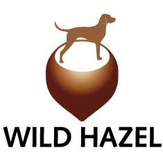 Wild Hazel