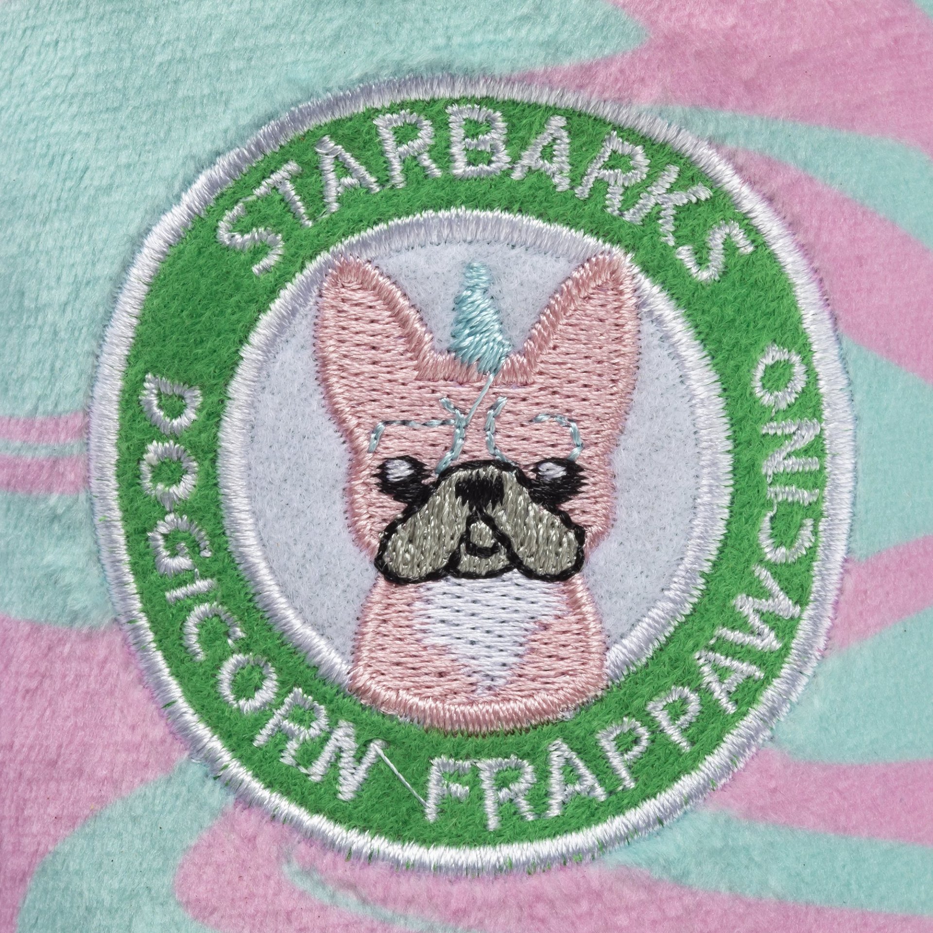 Starbarks Dogicorn Frapawccino 3