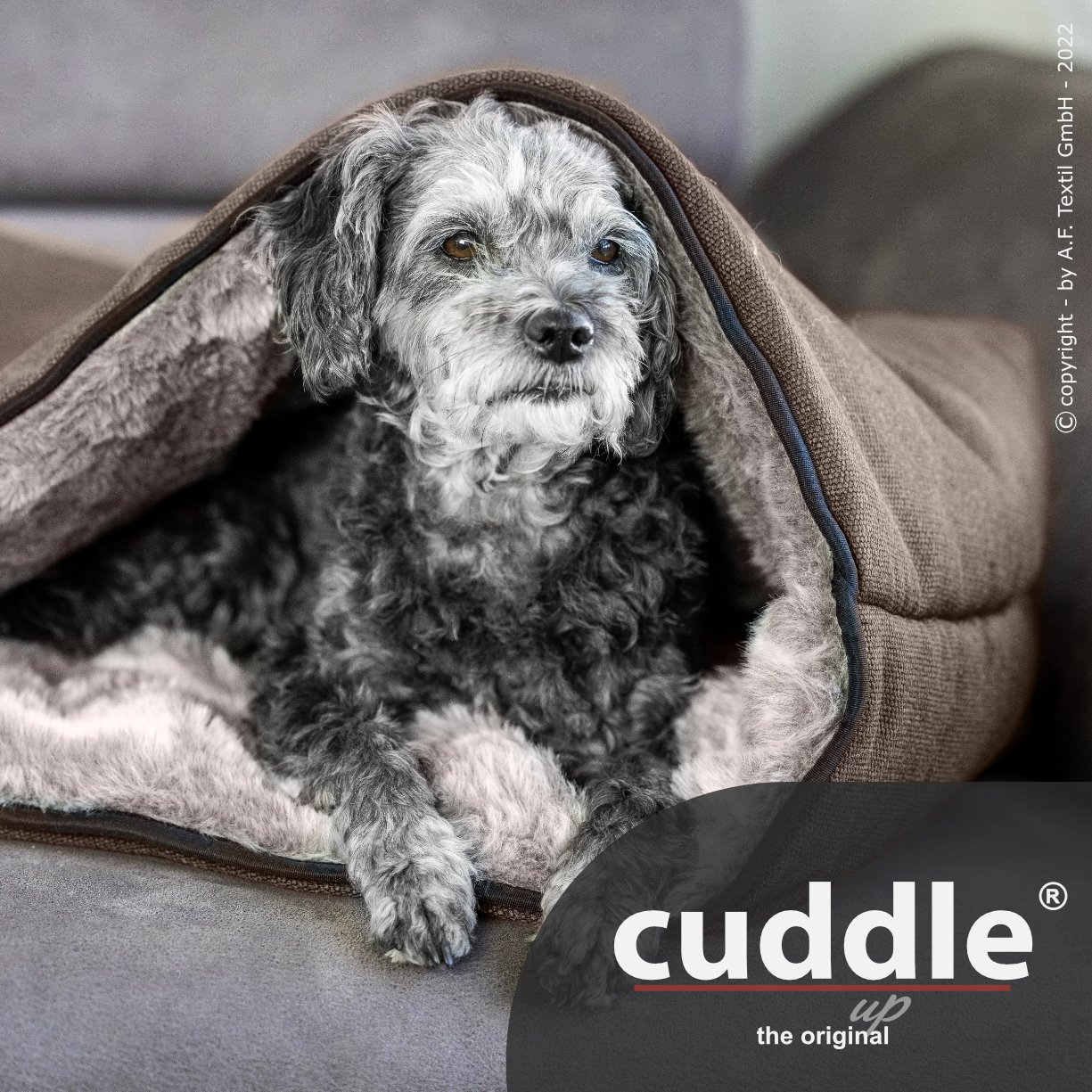 Cuddle up® - Der wandelbare Hundeliegeplatz