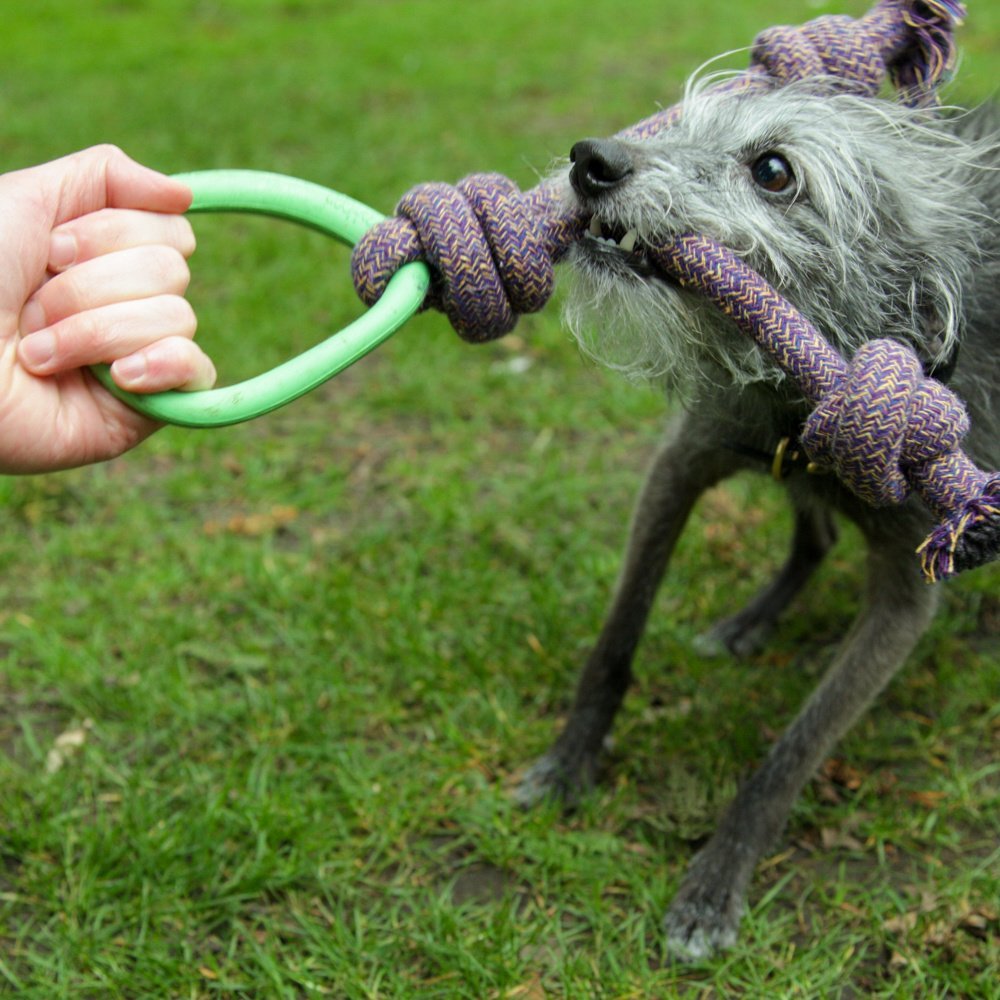 Beco - Pet Hoop on a Rope