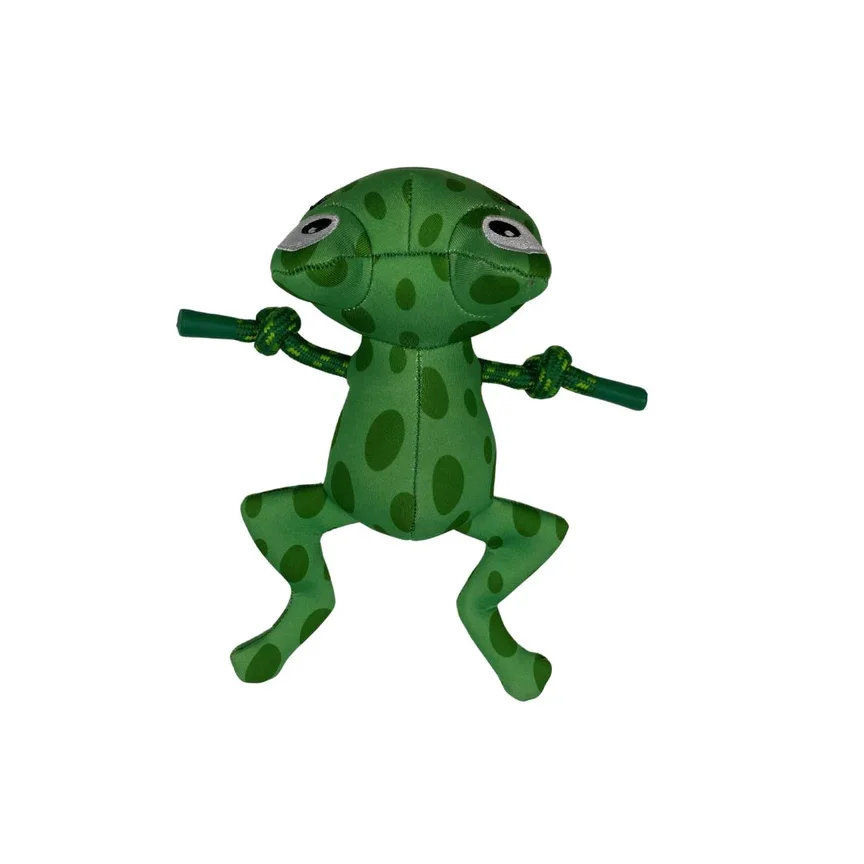 Frog Floatie - Frosch