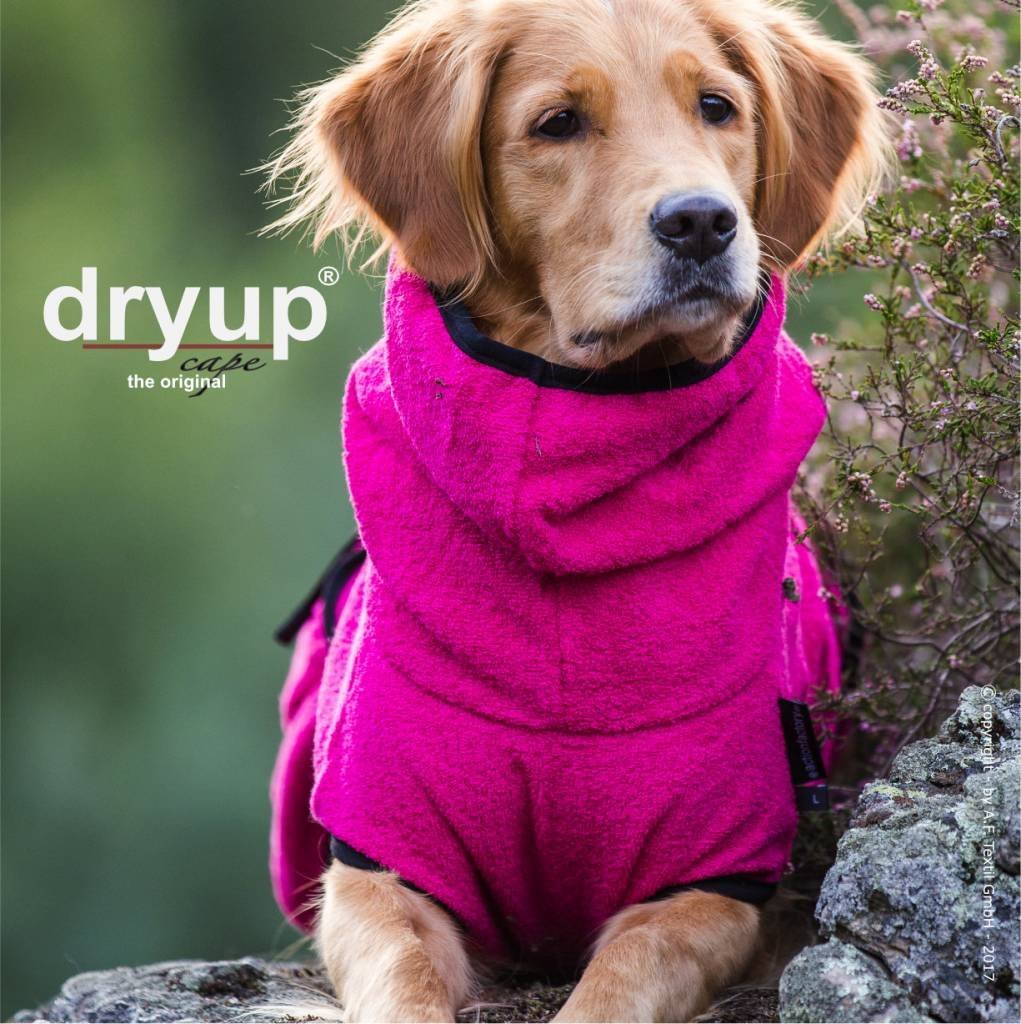 Dryup Cape Pink - Golden Retriever