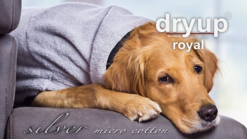 Royal Dryup Silber - Golden Retriever