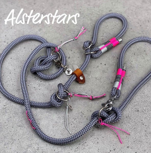 Retrieverleine - Metallic meets Pink