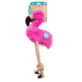 Fernando - The Flamingo