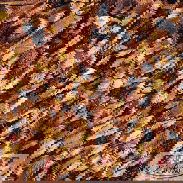 Barf Kultur Obst-Mix No. 1