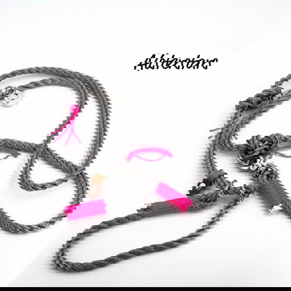 Retrieverleine - Pinky Promise