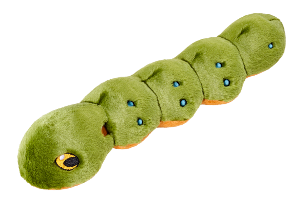 Katie Caterpillar