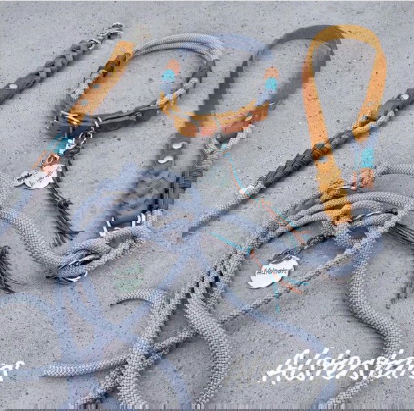 Alsterstars Tauleinenset - Silverdream - Leather meets Rope