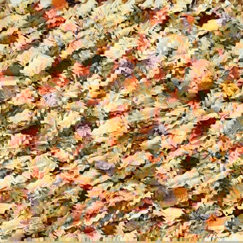 Barf Kultur Wurzel-Mix