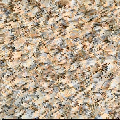 Barf Kultur - Pastinaken Würfel