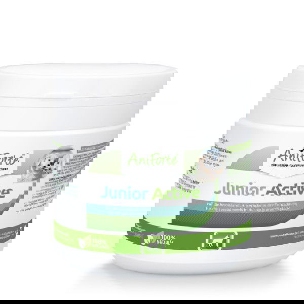 Junior Active