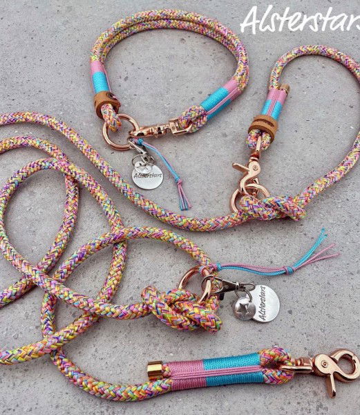 Tauleinenset Happy Colours - Tauhalsband & Tauleine