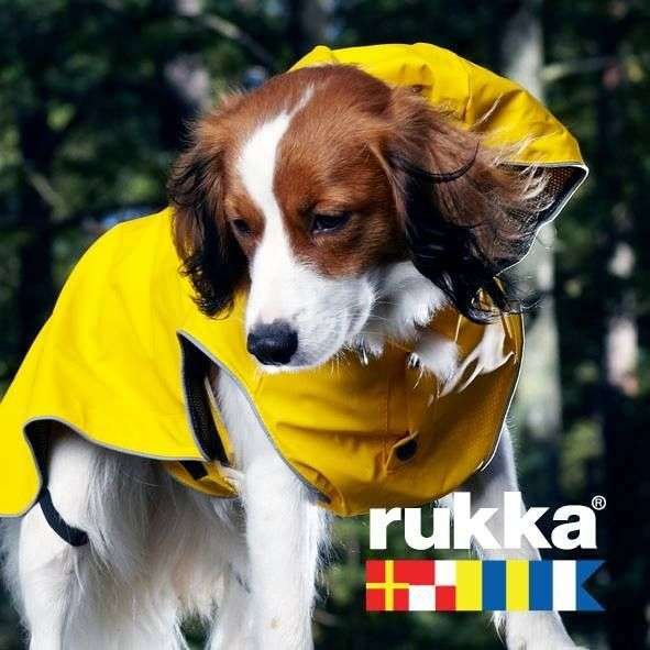 Rukka Pets Regenmantel für Hunde • Stream Gelb Moin Hund