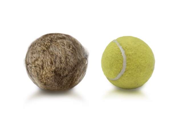 Firedog - Kaninchenfell Tennisball