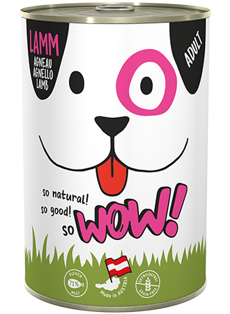 WOW! - Adult Lamm mit Kürbis
