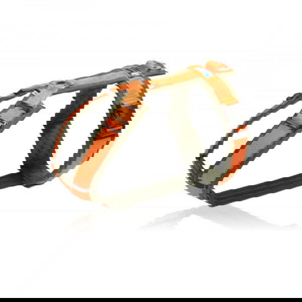 Brustgeschirr "Oliv-Orange"