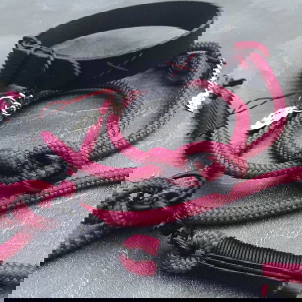 Alsterstars Set - Bordeaux meets Leather