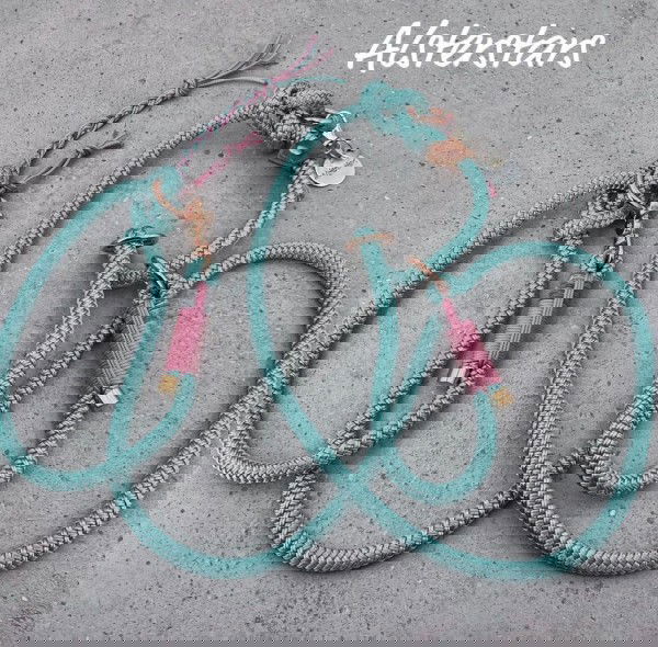 Retrieverleine - Rose Mint