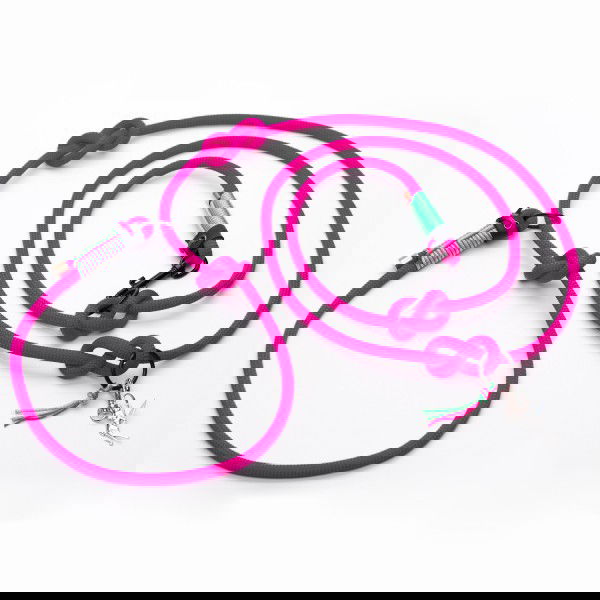 Tauleine - Crazy Pink - Alsterstars