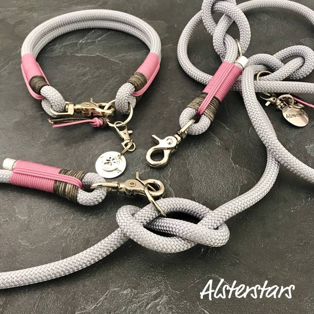 TauleinenSet Silver meets Leather and Rose Moin Hund