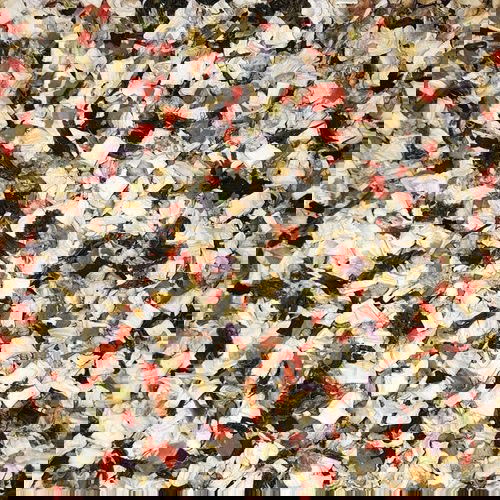 Barf Kultur Gemüse-Mix No. 2