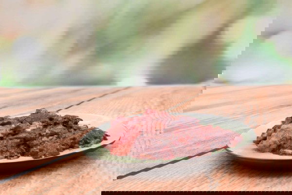 Metzgers Heimtiernahrung - Rind Innereien-Mix