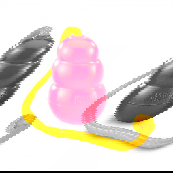 Kong - Classic W/Rope