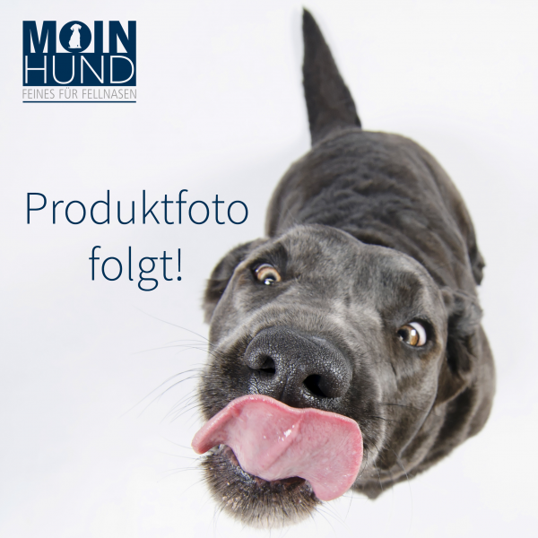 Function Pro Mobility