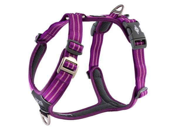 Comfort Walk Harness Air "VERSION" 2020 - Purple Passion