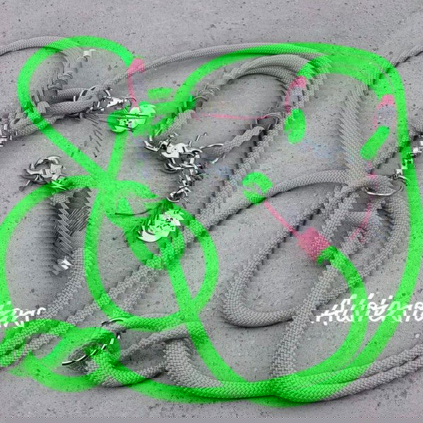 Tauleinenset Crazy Green - Tauleine & Tauhalsband