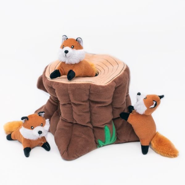 Fox-Stump-2