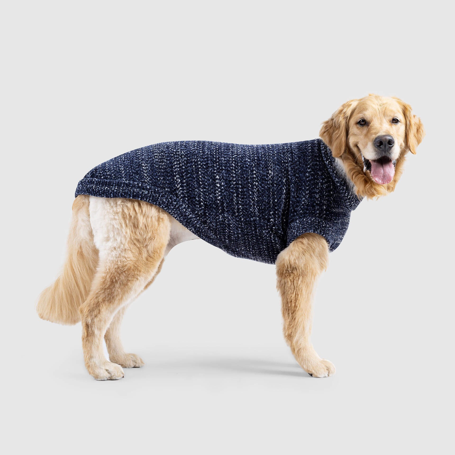 Canada Pooch - Soho Sweater grau