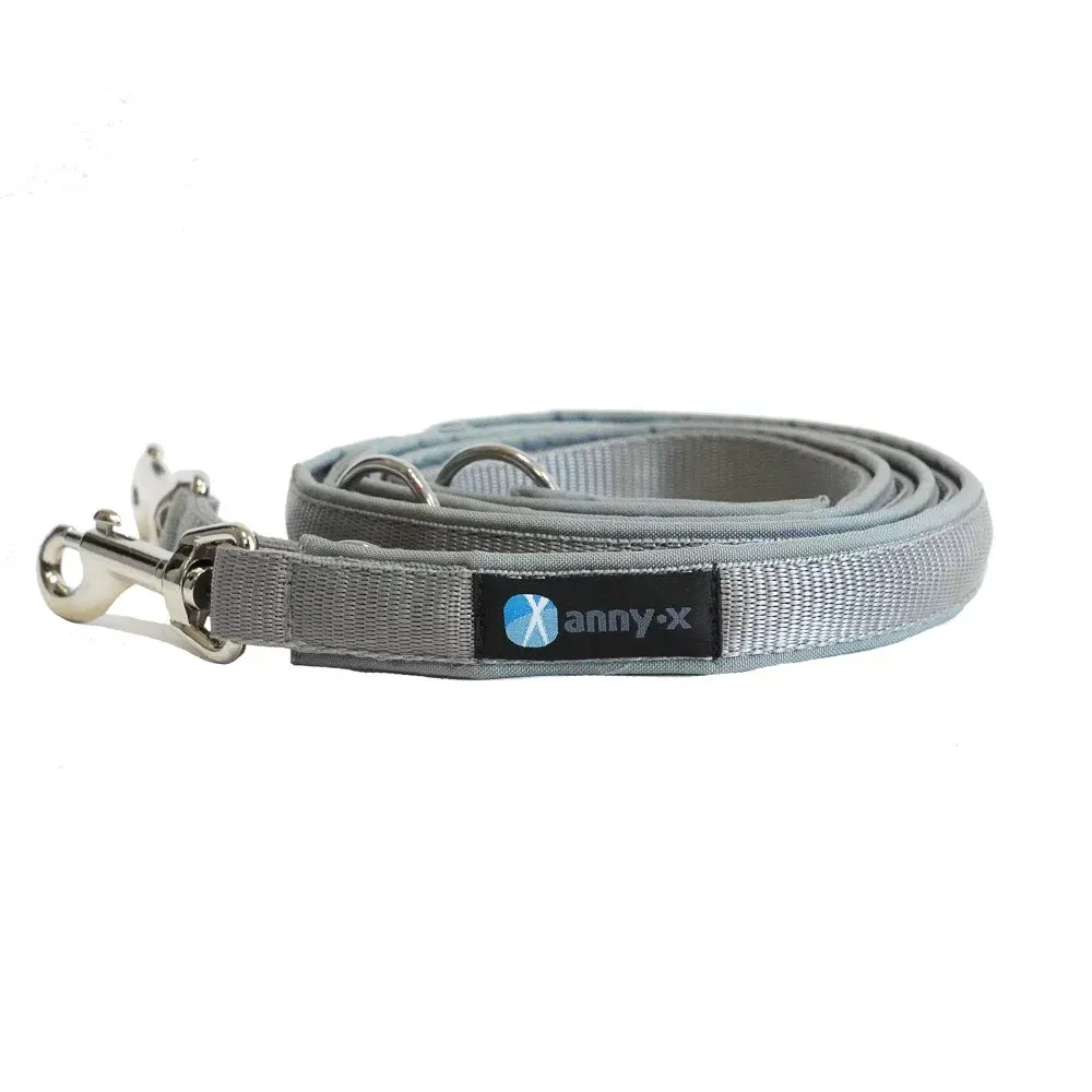 Führleine Classic Bolt Silber / Grau