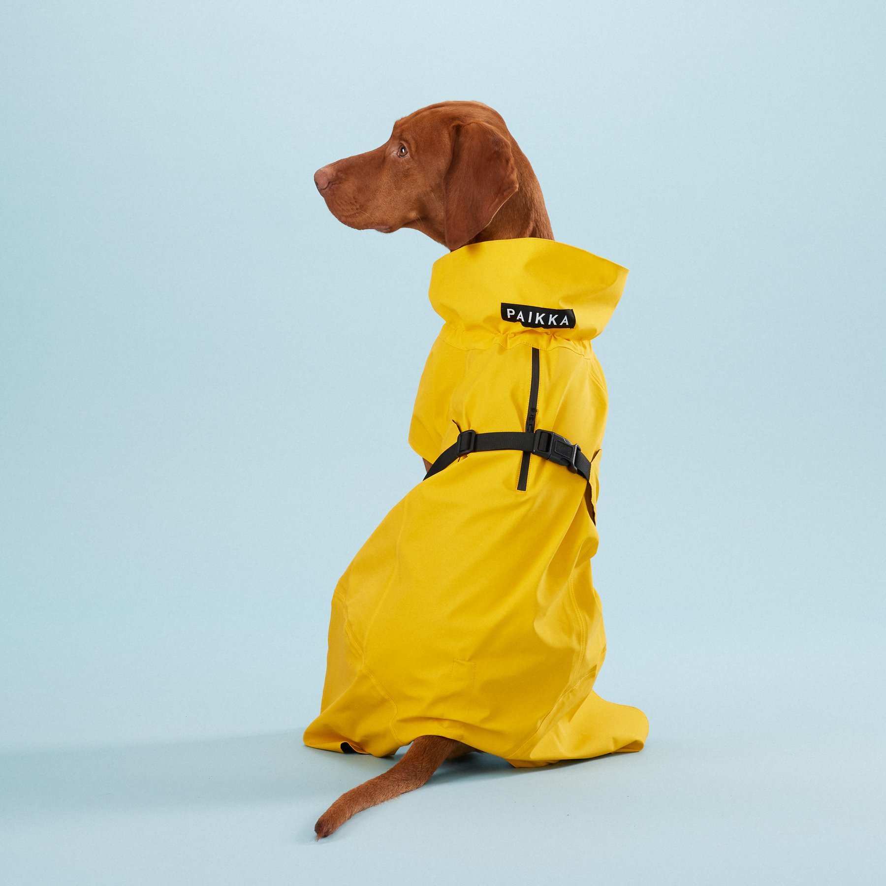 Visibility Raincoat Lite Yellow - Paikka