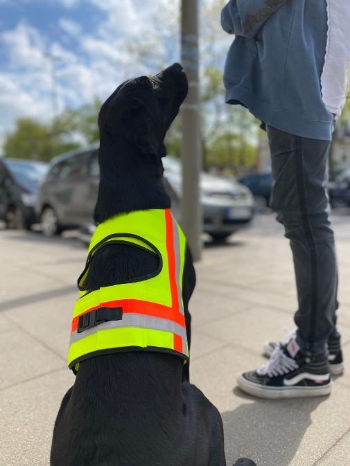 Hundesignalweste mit GPS-Tasche