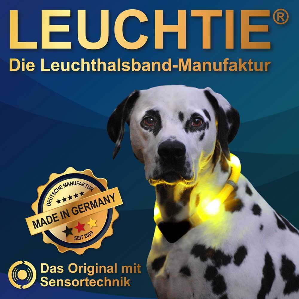 Leuchtie