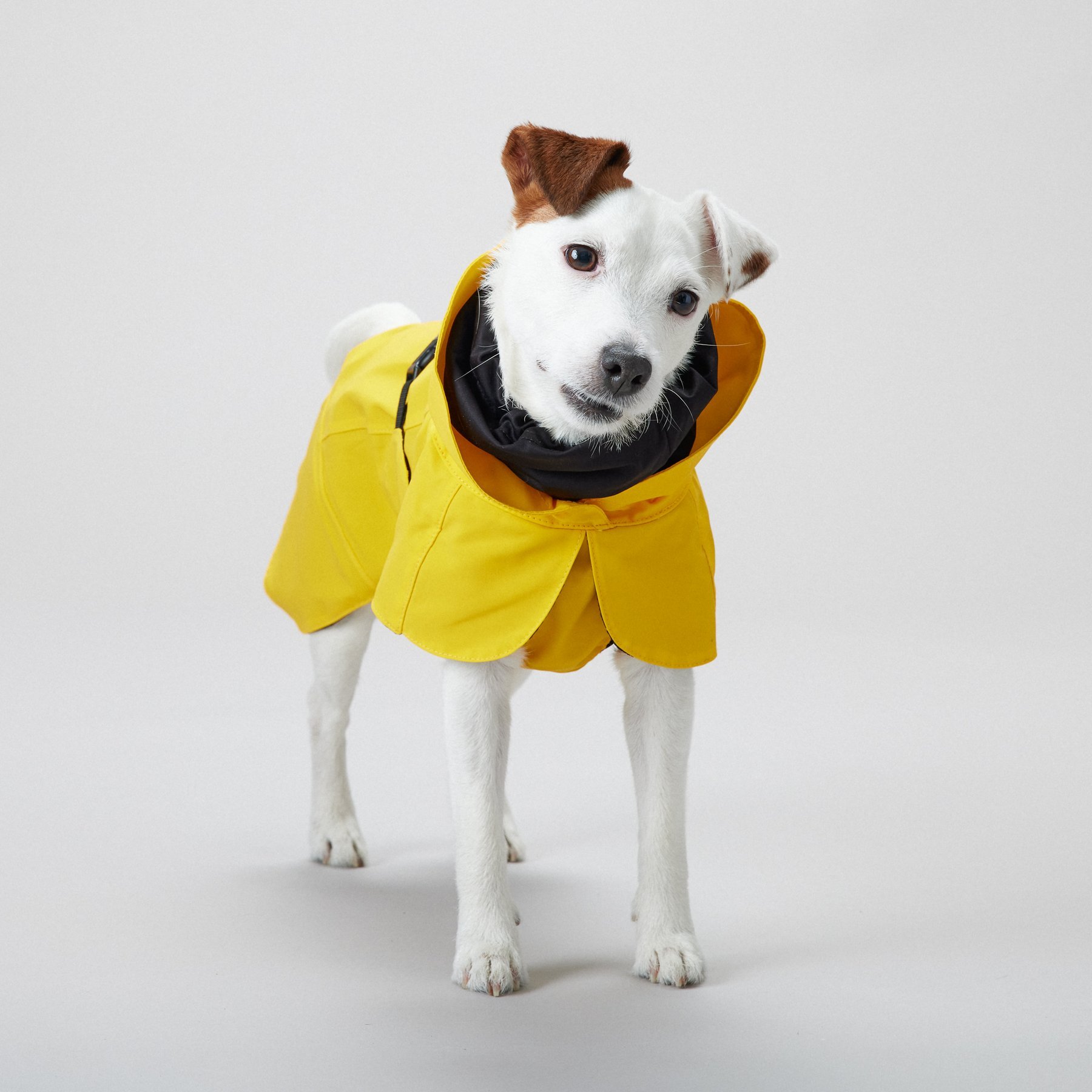 Visibility Raincoat Lite Yellow - Paikka