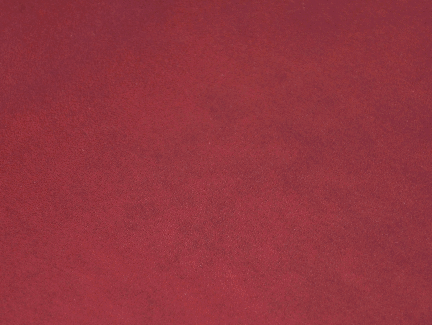Fettleder-Rot