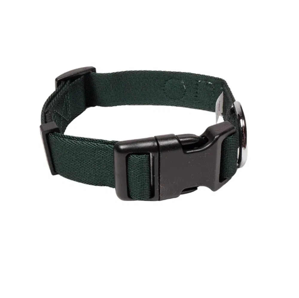Evergreen Hundehalsband 