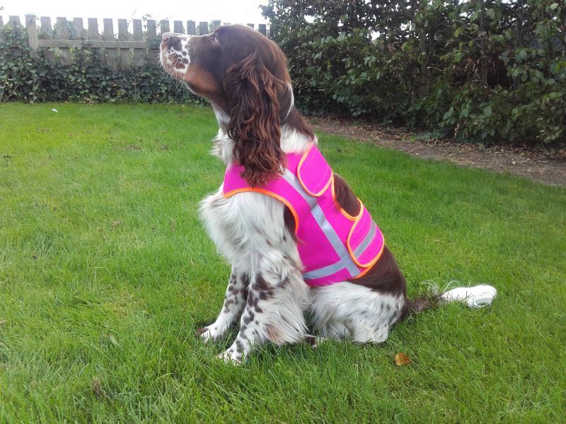 Warnweste für Hunde, Farbe Neon Pink