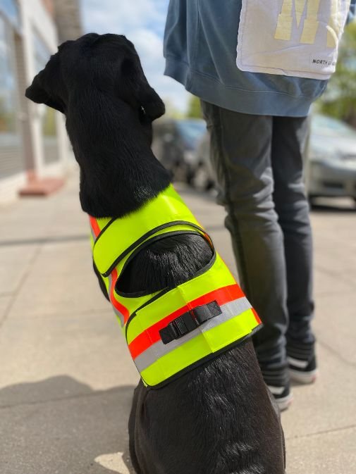 Warnweste für Hunde mit GPS Tasche